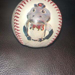 Baseball with Mascot Design Carolina mud cats